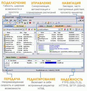 Bluetooth Promoter, Online Voting System, Banners , TurboFTP, UBLOGMySql , GnesinBook, Universal Viewer (ATViewer) Portable, Echelon SQL Scripter , OrangeCD Player, E-Motion